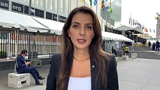 Susan Modaress Tehrani, corresponsal en Nueva York