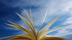 The sky's the limit with literary fiction
