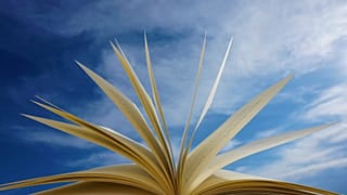 The sky's the limit with literary fiction