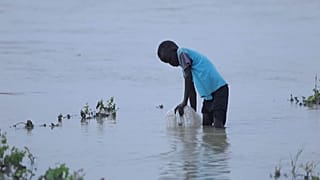 Refugiado sul-sudanês procura um lugar seguro
