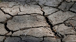İklim değişikliği: Kuraklık ve çaresizlik çiftçileri göçe zorluyor