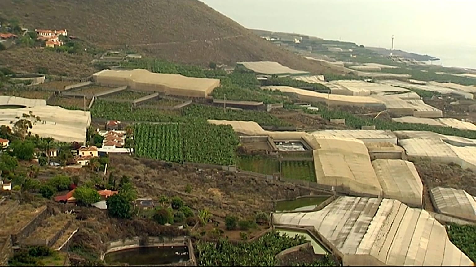 Invernaderos y plataneras en la isla de La Palma 