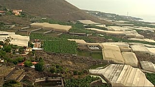 Invernaderos y plataneras en la isla de La Palma