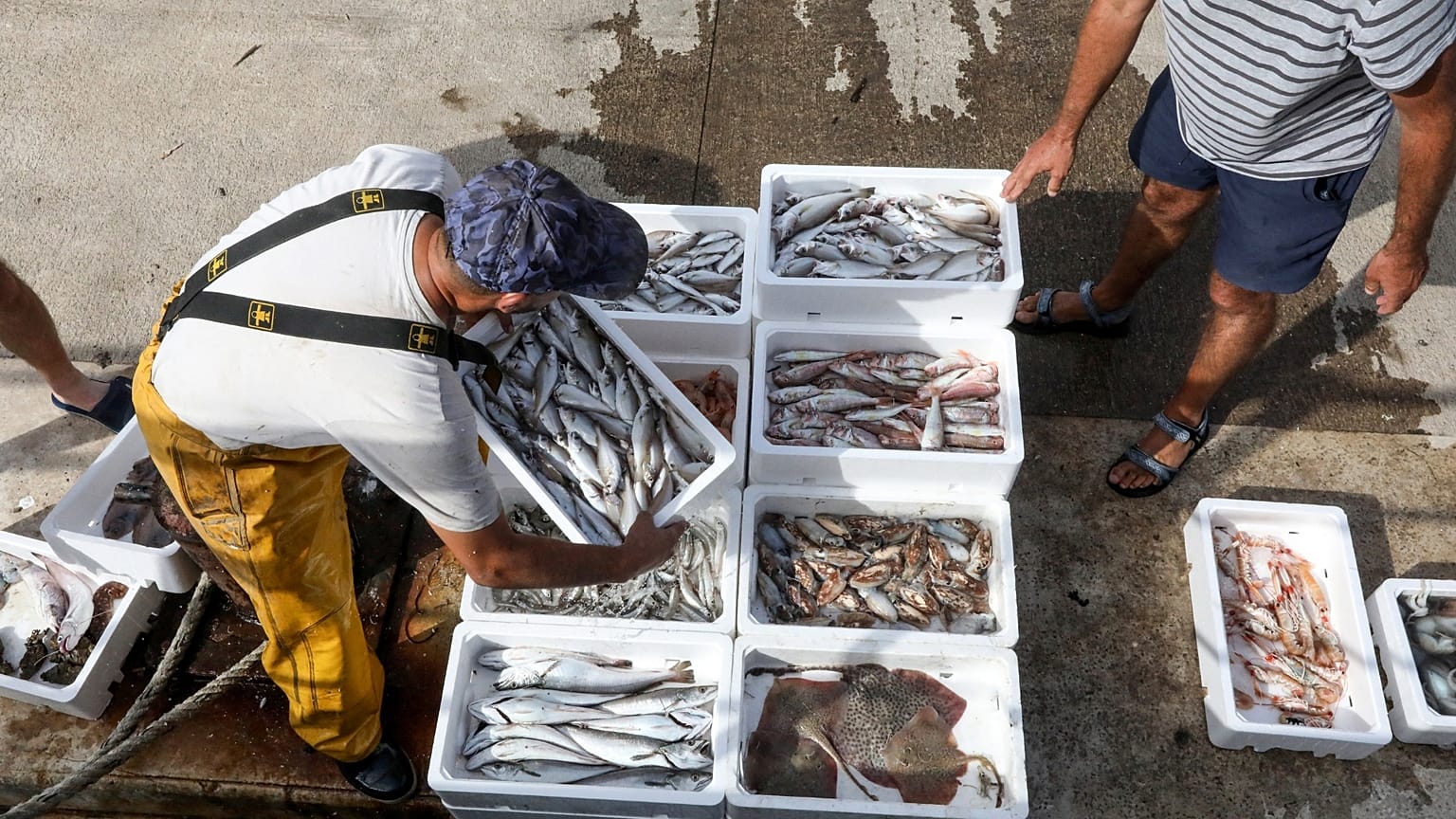 A fisherman unloads the day's catch from the "Edouard François" trawler off the coast of Port-la-Nouvelle, southern France