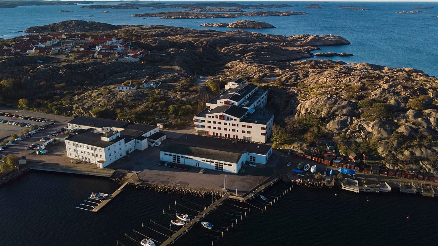 The seaweed factory