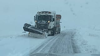 Schneepflug