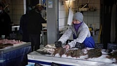 Keine Lizenz zum Fischen: Französische Fischer verzweifeln