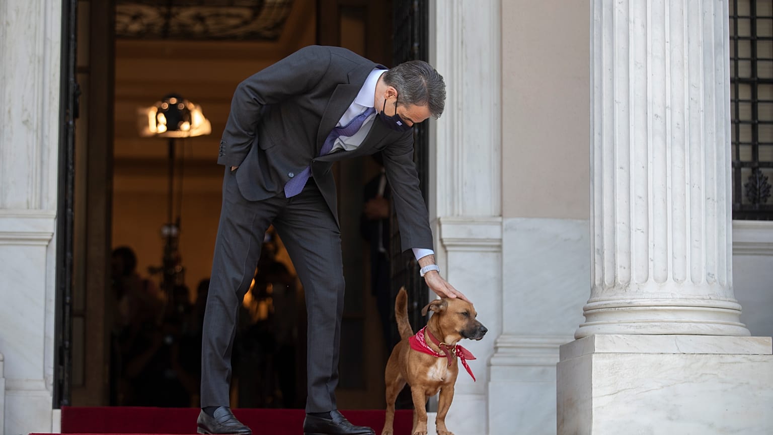 Ο Πίνατ, ο σκύλος που υιοθέτησε ο έλληνας πρωθυπουργός πριν από μερικούς μήνες