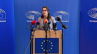 Gwendoline Delbos-Corfield, a bizottság vezetője