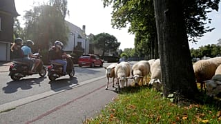 Belçika'nın Gent kenti