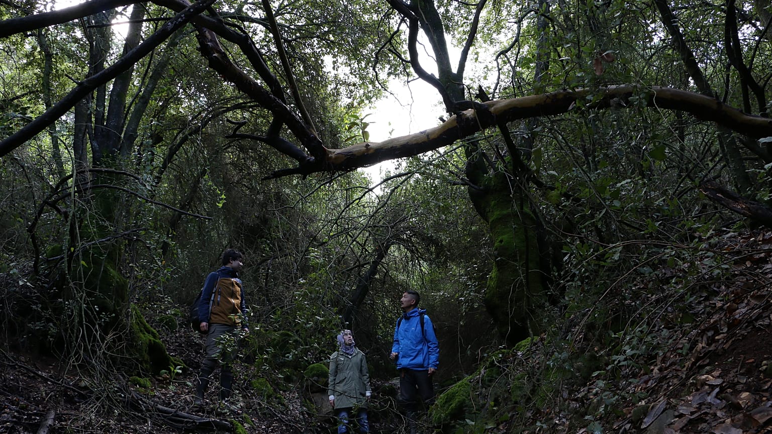 Deema Assaf and Nochi Motoharu carrying out a vegetation survey in Jebel Birqish, Jordan