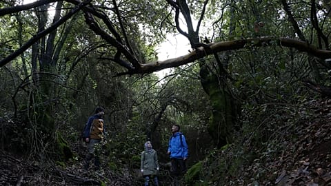 Deema Assaf and Nochi Motoharu carrying out a vegetation survey in Jebel Birqish, Jordan