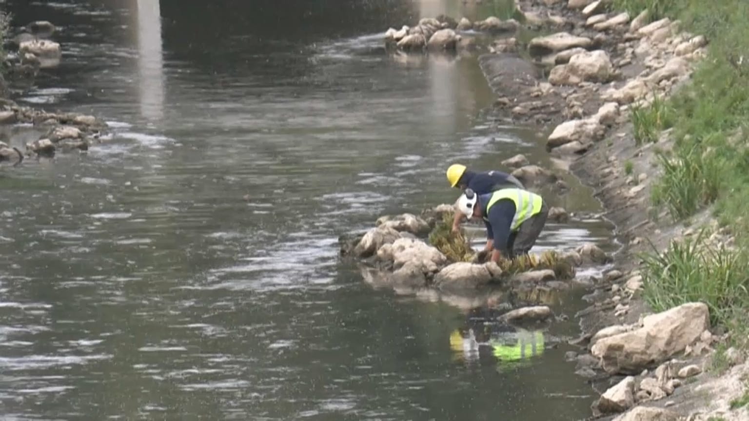 Réaménagement d'une partie de la rivière La Senne à Bruxelles, en Belgique, 27 septembre 2021