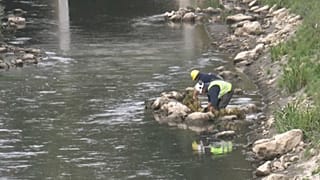 Réaménagement d'une partie de la rivière La Senne à Bruxelles, en Belgique, 27 septembre 2021