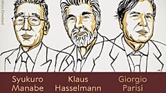Ilustración de los tres ganadores 