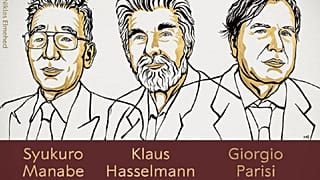Ilustración de los tres ganadores