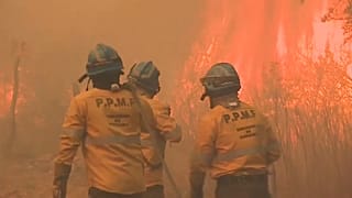 Erdőtűz pusztít Argentínában, csak felperzselt földet hagynak maguk után a lángok 
