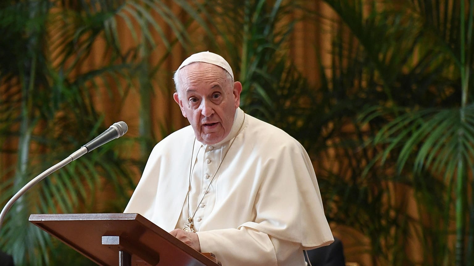 Pope Francis speaks at the Vatican.