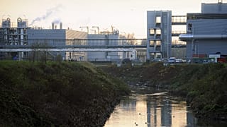 A picture taken on December 14, 2009 shows Brussels river Senne, the main waterway of the Belgium capital, containing untreated sewage at the Treatment Plant.