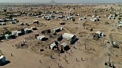 Refugees in Cameroon started helping build a green wall to stop the desert.