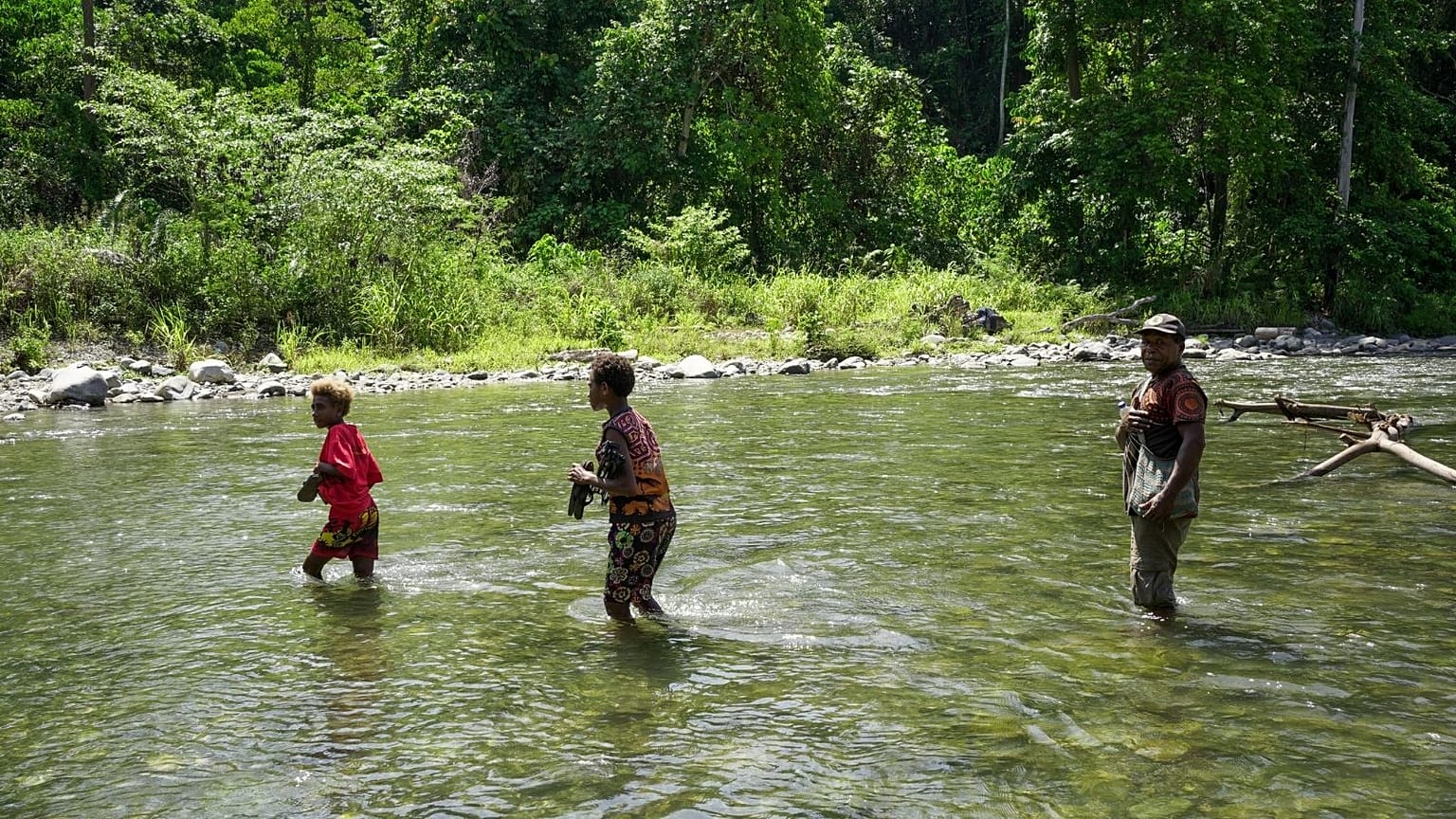 Natural rivers and intact rainforest areas in the Bainings region of East New Britain Province, Papua New Guinea.