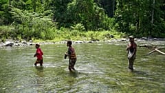 Natural rivers and intact rainforest areas in the Bainings region of East New Britain Province, Papua New Guinea.
