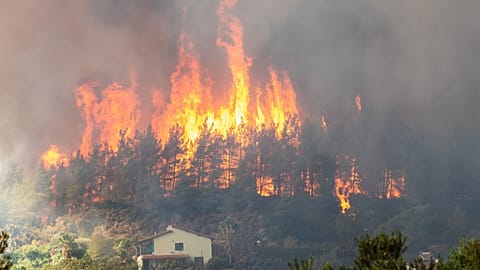 Forest fire in Hisaronu neighbourhood of Marmaris resort town in Turkey, on August 2, 2021.
