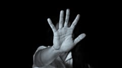 عکس تزیینی است