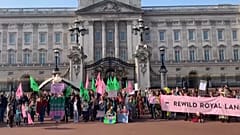 Petition an die Royals: Lasst die königlichen Ländereien verwildern!