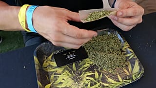 Marihuánás cigarettát tekernek