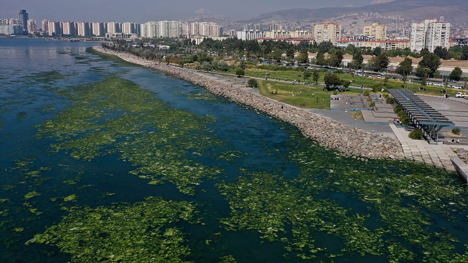İzmir Körfezi'nde müsilaj tehlikesi