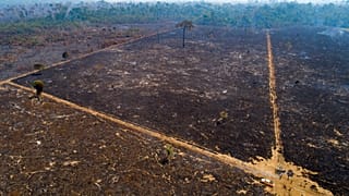Terreno queimado no Estado do Pará