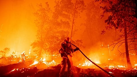 Kampf gegen die Flammen in Nordkalifornien