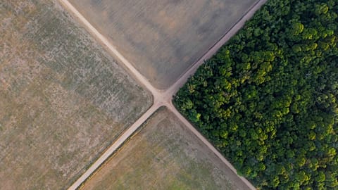 A fragment of Amazon rainforest stands next to soy fields in Belterra, Para state, Brazil.