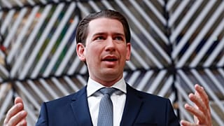 Взлет после отставки: Курц идет в парламент