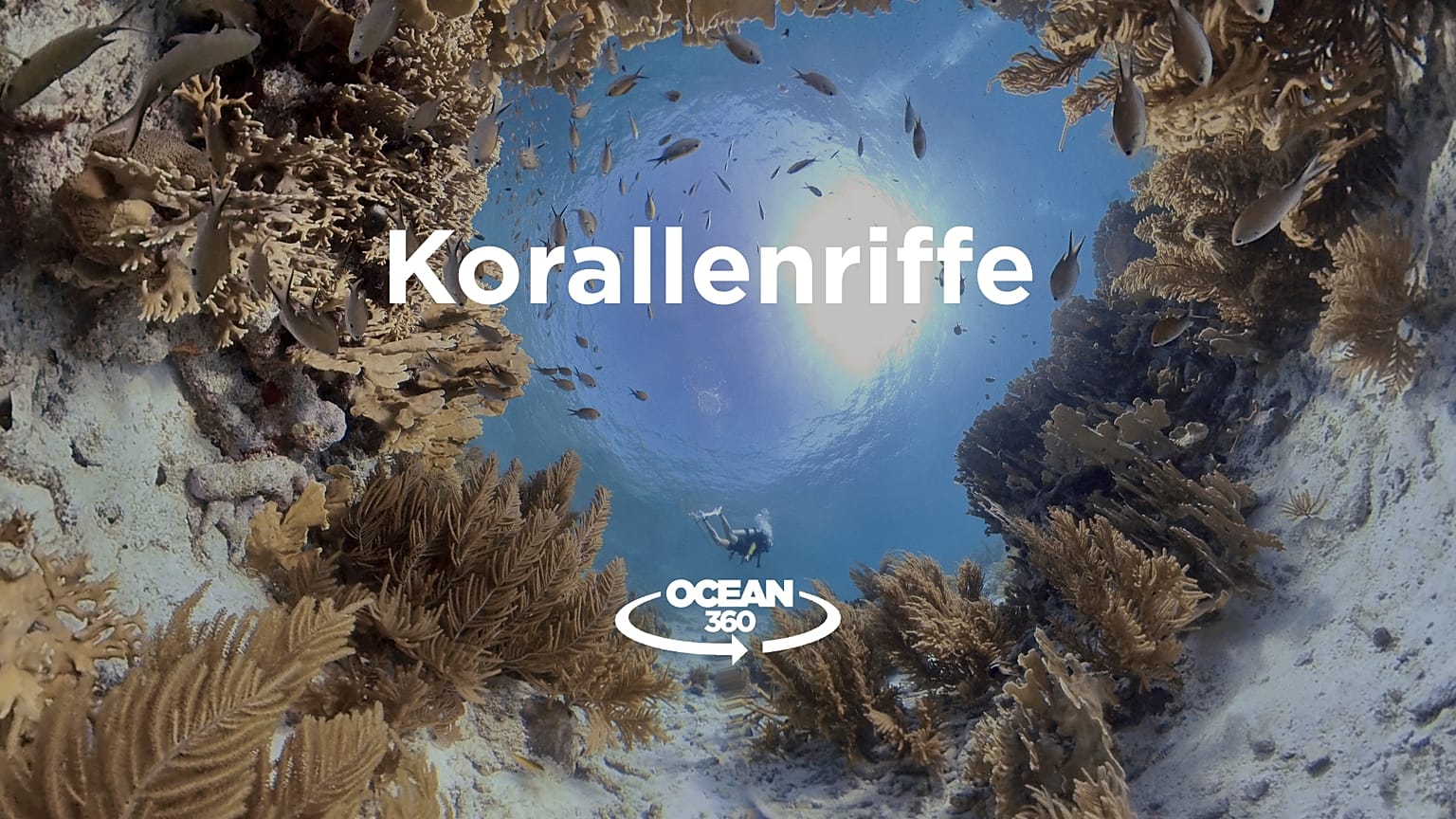 Ocean