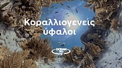 Ocean