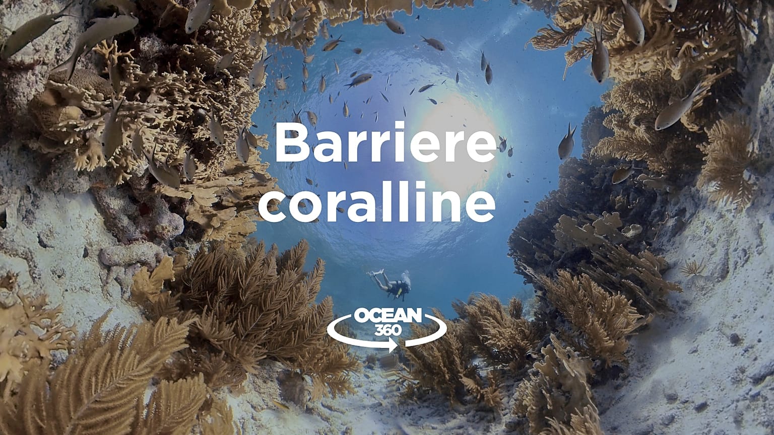 Ocean