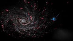 Изображение, полученное с помощью новой программы