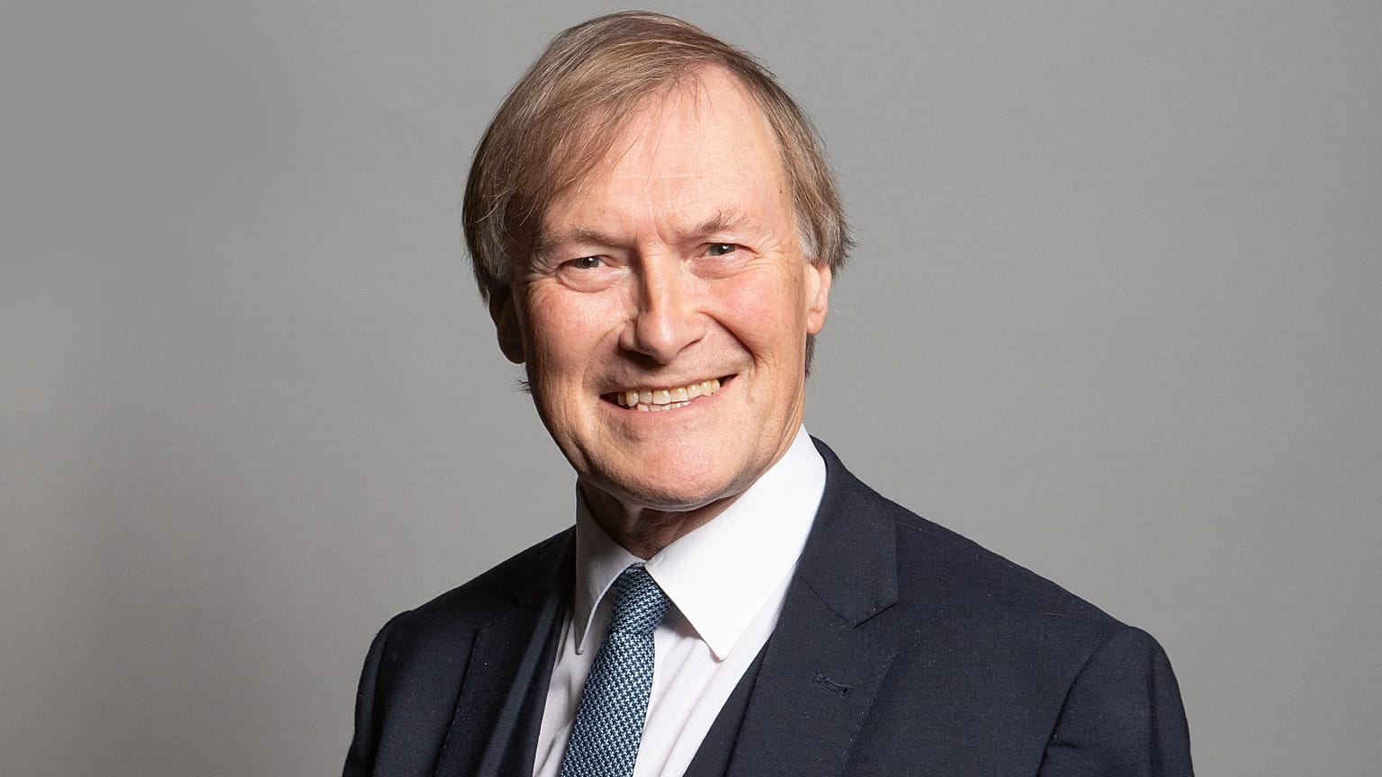  Conservative MP for Southend West, David Amess, in an official portrait photograph at the Houses of Parliament in London. 