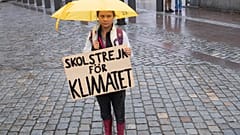 Greta Thunberg singt und tanzt ausgelassen