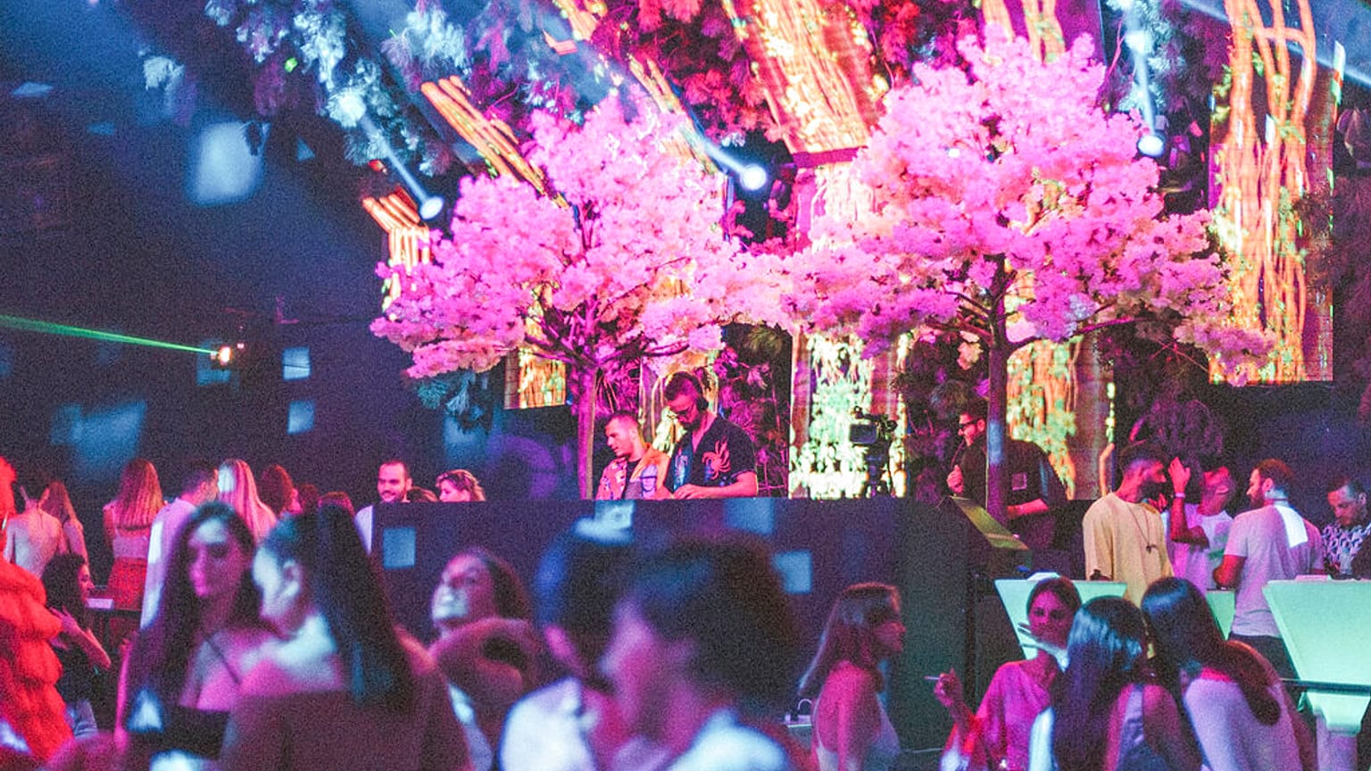Foto d'archivio di una serata in discoteca
