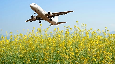 Could mustard-powered planes be the future of flying?