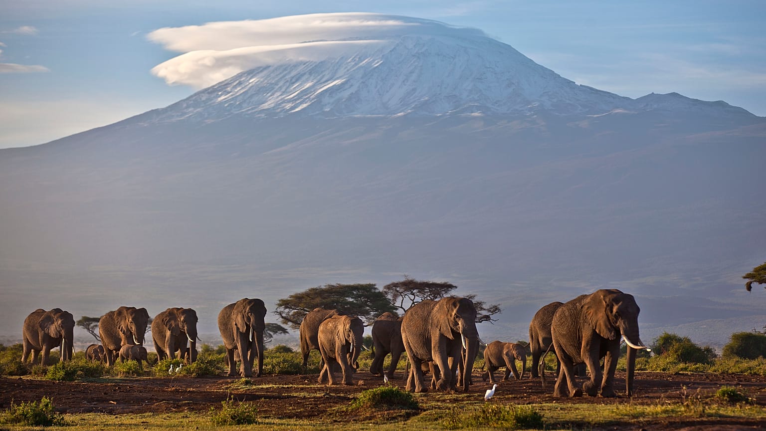Le Mont Kilimanjaro, en décembre 2012.