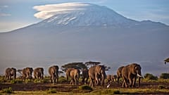 Le Mont Kilimanjaro, en décembre 2012.