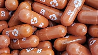 The COVID-19 treatment pill called molnupiravir, which is being developed by Merck & Co Inc and Ridgeback Biotherapeutics LP.