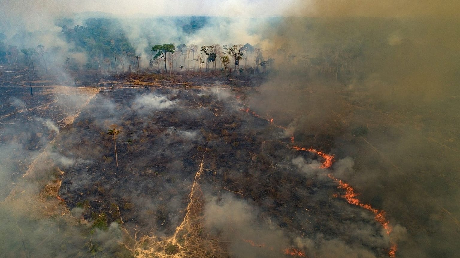 Fire rages on land deforested by cattle farmers in Brazil, 2020.