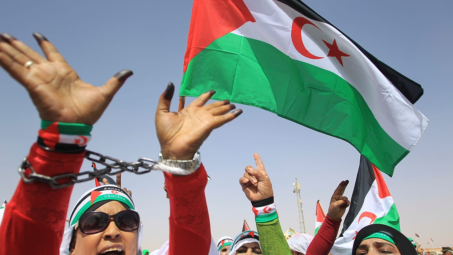 لاجئات من الصحراء الغربية يلوحن بعلمهن غير الرسمي في مخيم للاجئين في تندوف، جنوب الجزائر.
