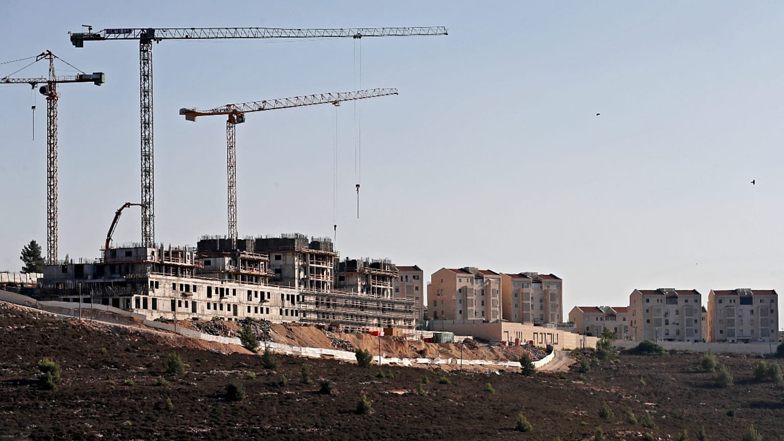 وحدات سكنية استيطانية جديدة في الضفة الغربية المحتلة 
