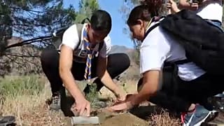 Δενδροφύτευση στον Αρακαπά της Κύπρου